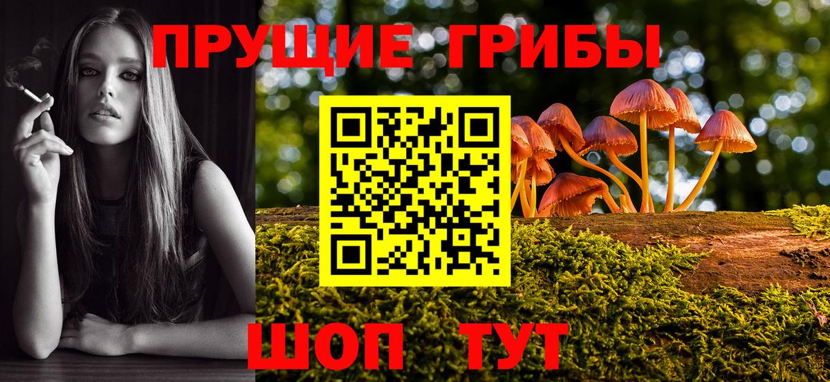 Псилоцибиновые грибы Magic Shrooms  Вход с VPN  Псилоцибиновые грибы Psilocybe  Карпинск 